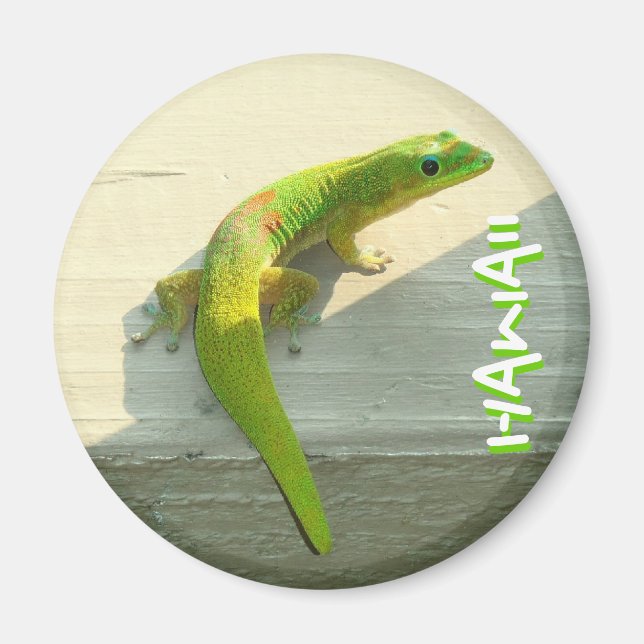 Hawaiian gecko magnet (Framsidan)