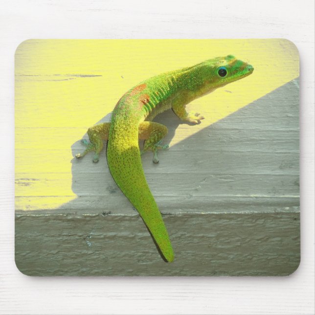 Hawaiian gecko mousepad musmatta (Framsidan)