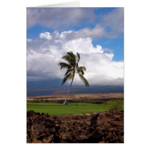 Hawaiian Golf Course View Hälsningskort