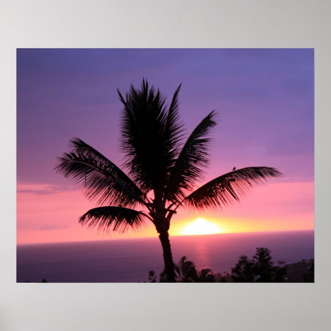 Hawaiian Handflatan Träd & Colorful Sunset Poster (Framsidan)
