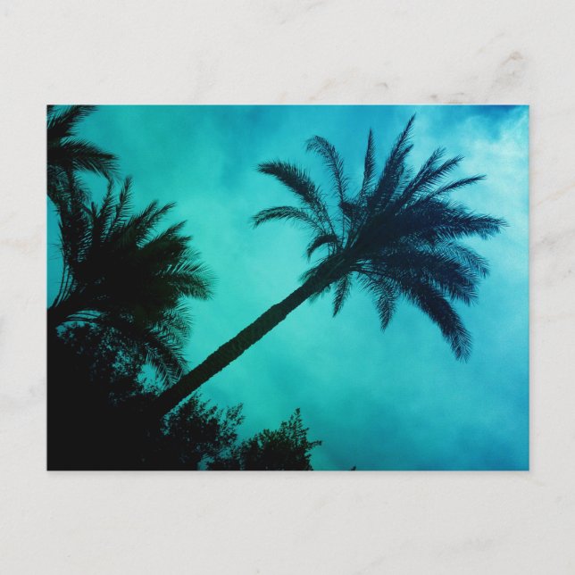 Hawaiian Handflatan Träd Vykort (Framsida)
