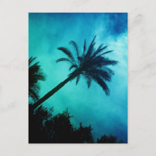 Hawaiian Handflatan Träd Vykort