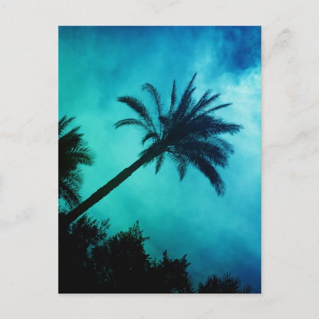 Hawaiian Handflatan Träd Vykort (Framsida)
