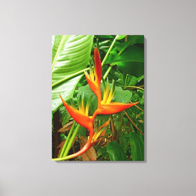 Hawaiian Heliconia Canvastryck (Framsida)