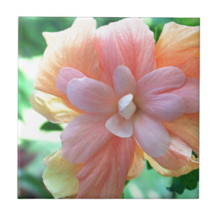 Hawaiian Hibiscus Flower Photo Kakelplatta