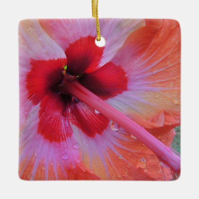 Hawaiian Hibiscus Ornament (Framsida)