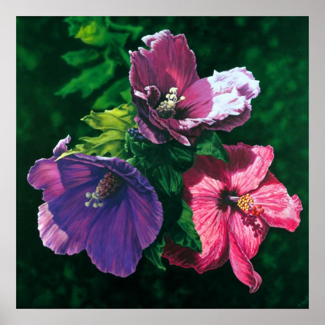 Hawaiian Hibiscus poster utskrift (Framsidan)
