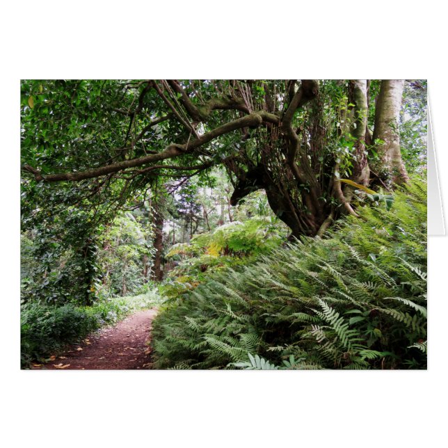 Hawaiian Hiking Trail Hälsningskort (Framsidan Horizontal)