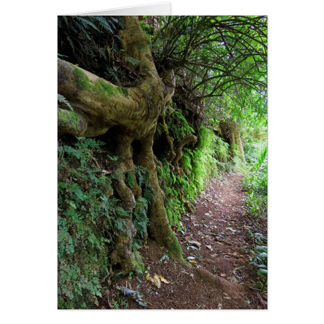 Hawaiian Hiking Trail Hälsningskort (Framsidan)
