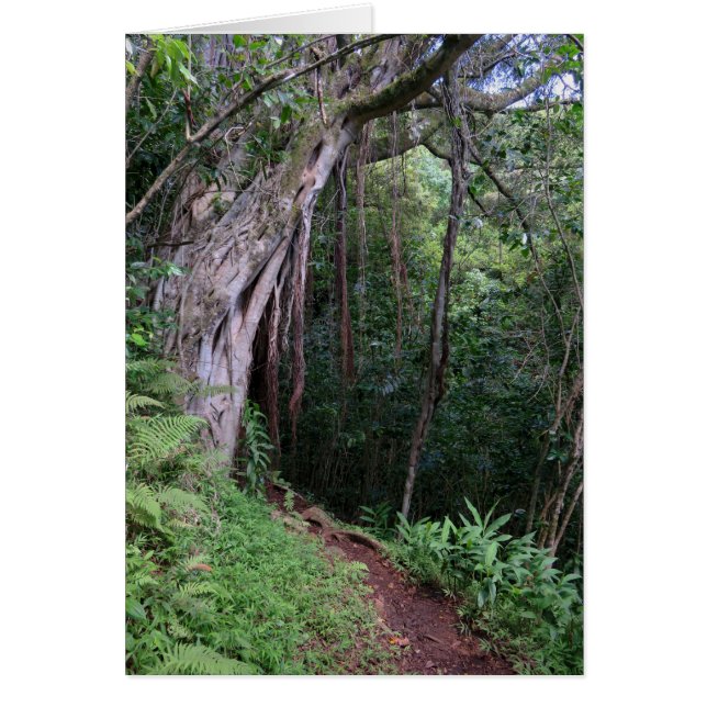 Hawaiian Hiking Trail Hälsningskort (Framsidan)
