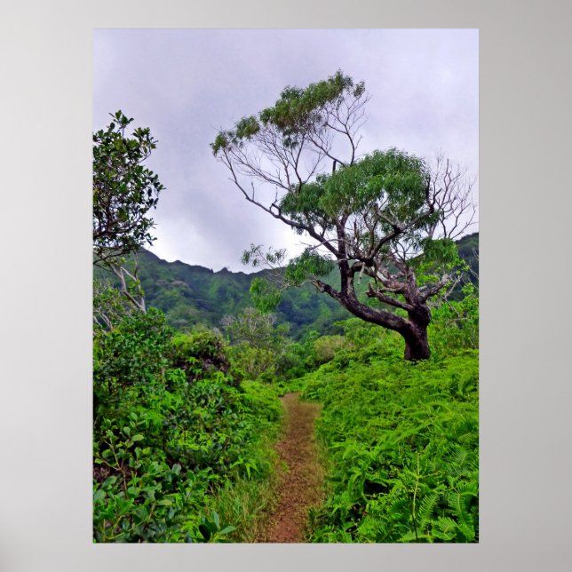 Hawaiian Hiking Trail Poster (Framsidan)