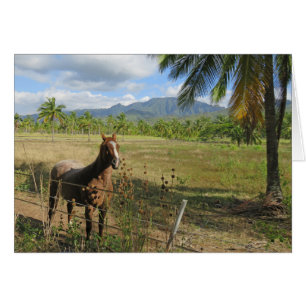 Hawaiian Horse Hälsningskort
