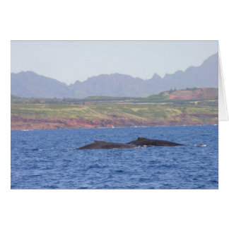 Hawaiian Humpback Whales Hälsningskort