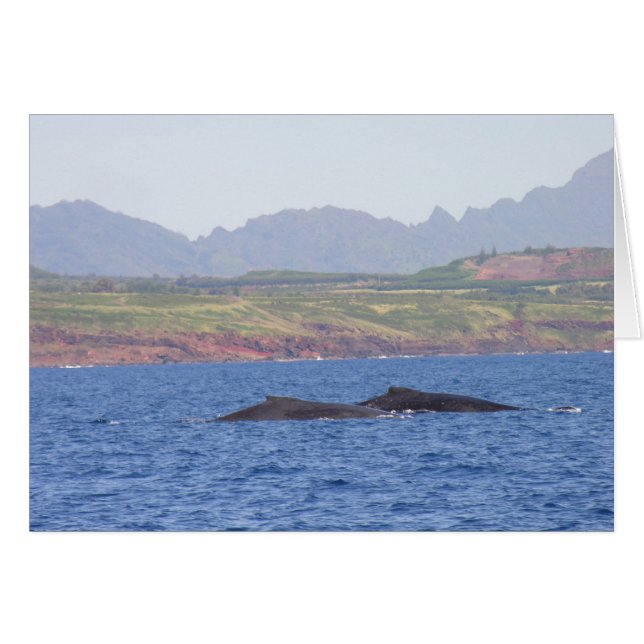 Hawaiian Humpback Whales Hälsningskort (Framsidan Horizontal)