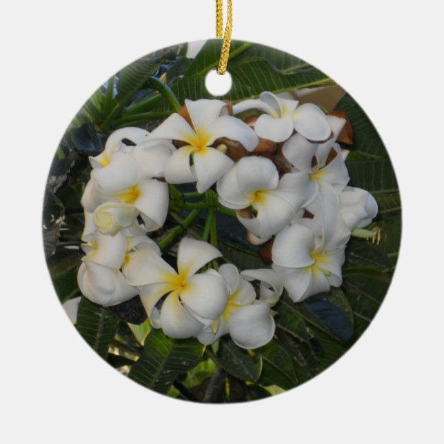 Hawaiian jul Plumeria Julgransprydnad Keramik (Framsidan)
