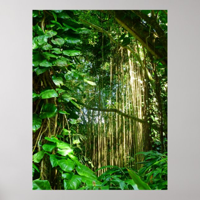Hawaiian Jungle Vines Poster (Framsidan)