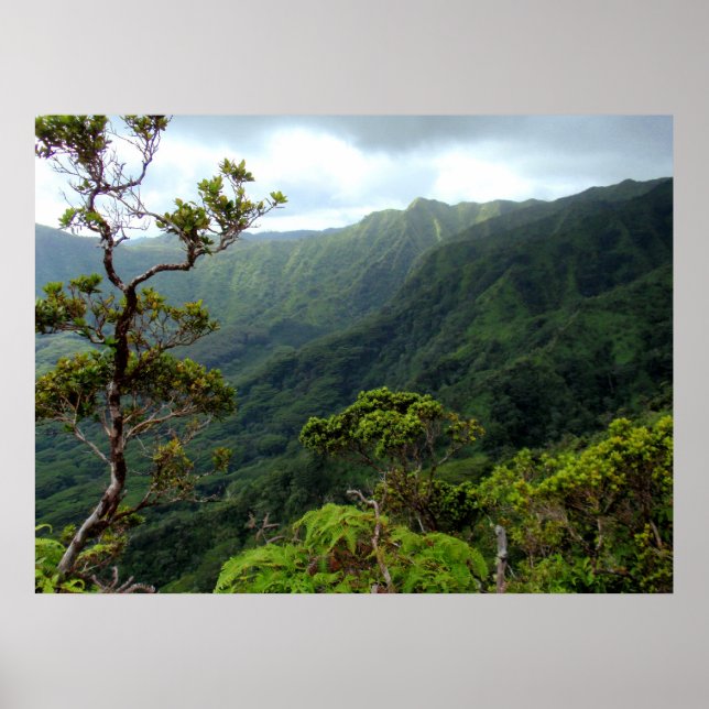 Hawaiian Koolau Mountains Poster (Framsidan)