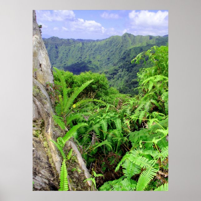 Hawaiian Koolau Mountains Poster (Framsidan)