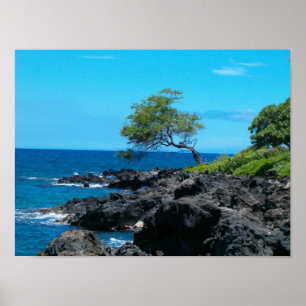 Hawaiian Kusten Poster