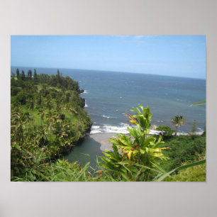 Hawaiian Kusten Poster