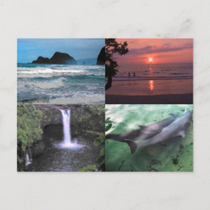 Hawaiian Ligcape Four Photo Aloha Hawaii Vykort