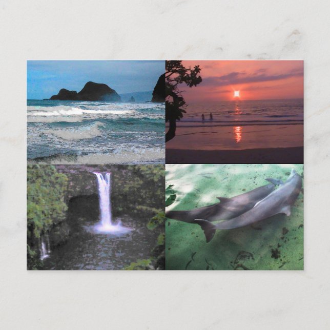 Hawaiian Ligcape Four Photo Aloha Hawaii Vykort (Framsida)