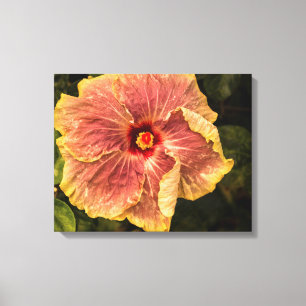 Hawaiian Lilac Hibiscus från Kauai Photograph Canvastryck