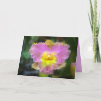 Hawaiian Lycklig Mors dag Rosa Cattleya Orchid C