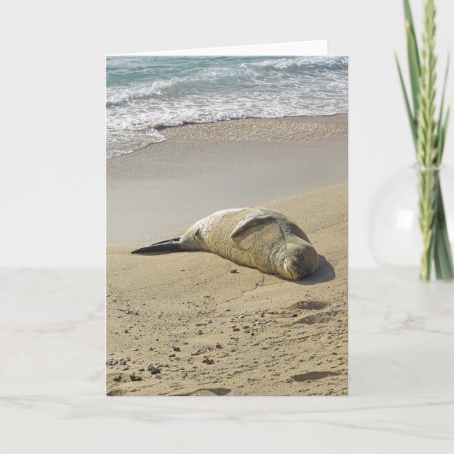 Hawaiian Munk Seal Kort (Framsida)