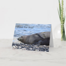 Hawaiian Munk Seal och hennes Valp Helgkort