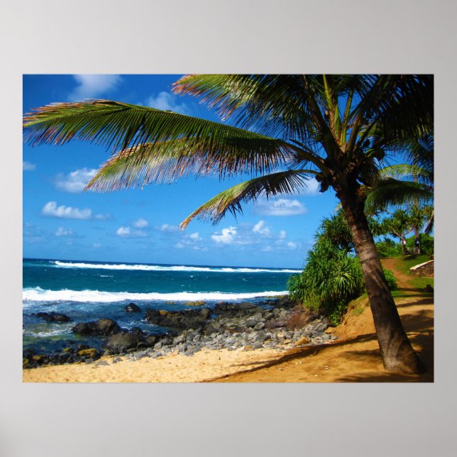 Hawaiian Paradise Poster (Framsidan)
