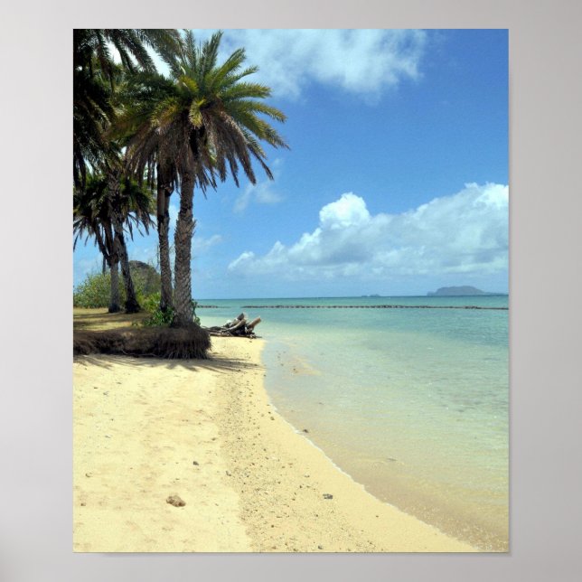 Hawaiian Paradise Skriv ut Poster (Framsidan)