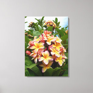 Hawaiian Plumeria Canvastryck