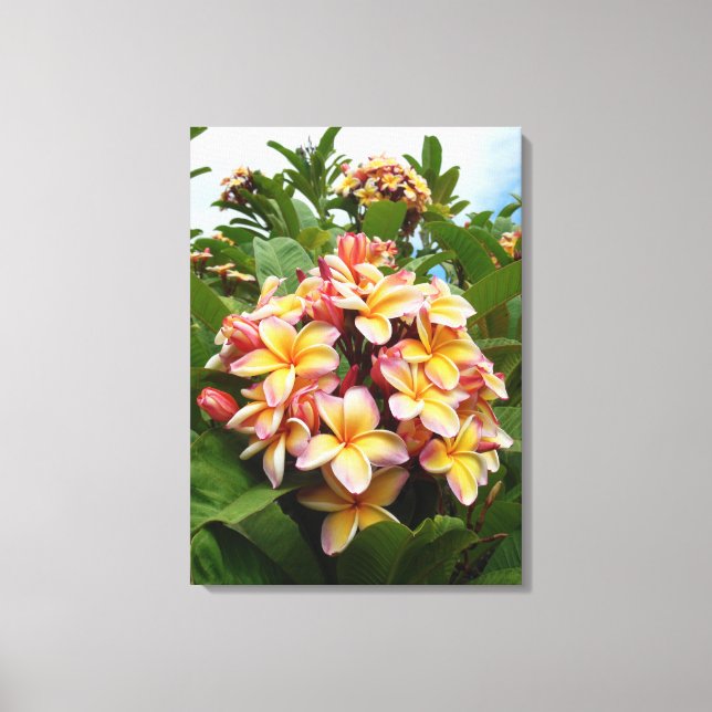 Hawaiian Plumeria Canvastryck (Framsida)