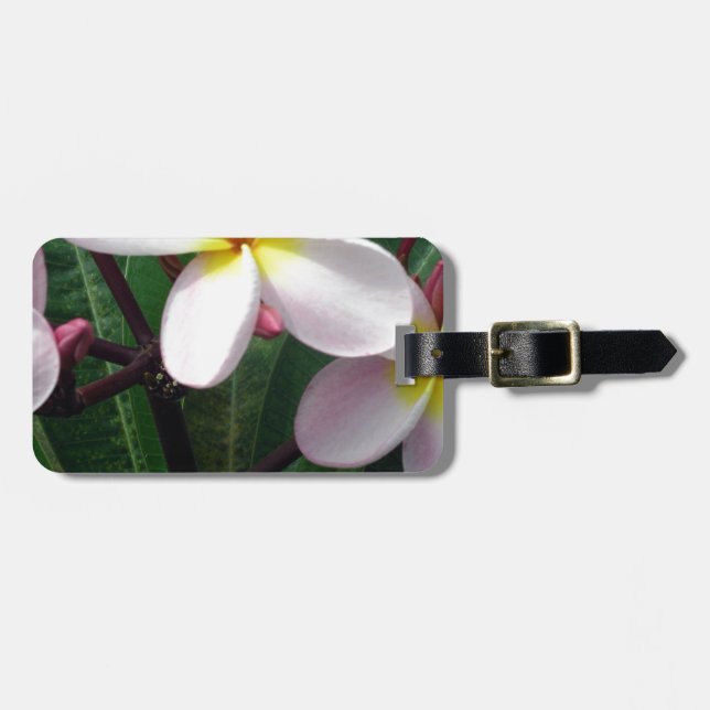 Hawaiian Plumeria Flowers Bagagebricka (Horisontell Framsida)