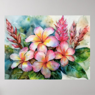 Hawaiian Plumeria och Rosa Ginger Poster