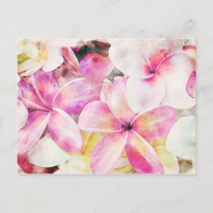 Hawaiian Plumeria Tropical Blommigt Watercolor Vykort