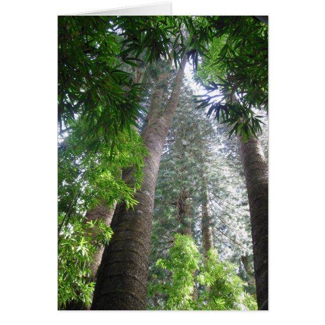 Hawaiian Rain Forest Hälsningskort (Framsidan)
