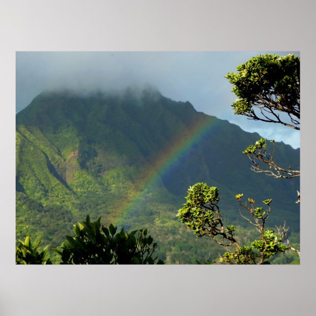 Hawaiian Rainbow Poster (Framsidan)