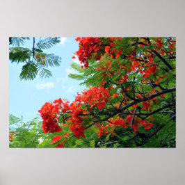 Hawaiian Red Blommigt Print Poster