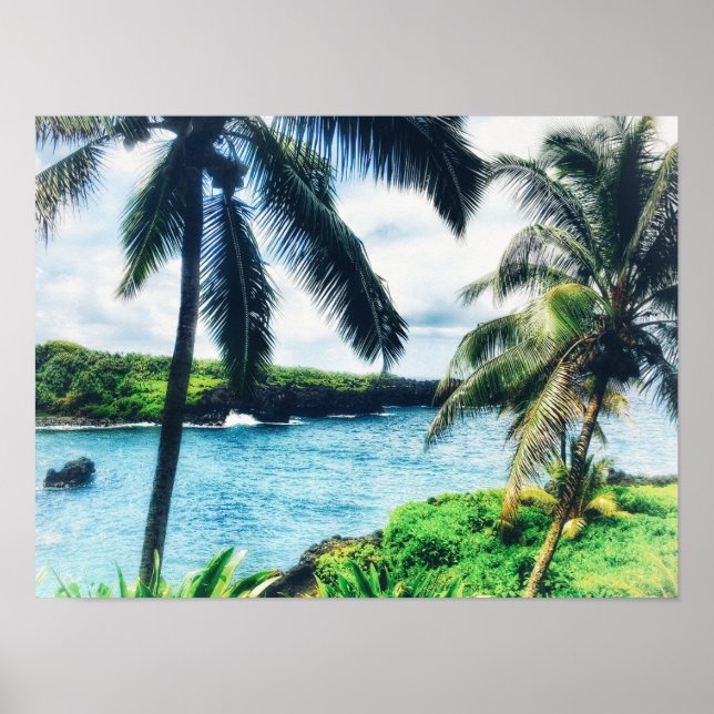 Hawaiian Scene Poster (Framsidan)