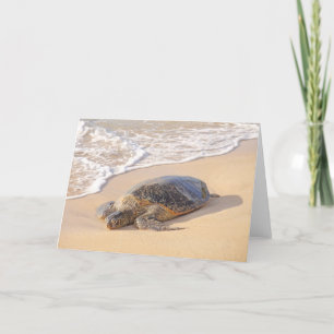 Hawaiian Sea Turtle Kort
