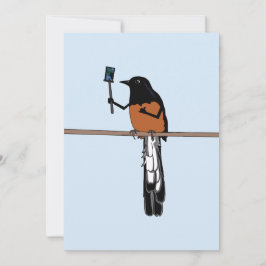Hawaiian Shama Bird Selfie Julkort