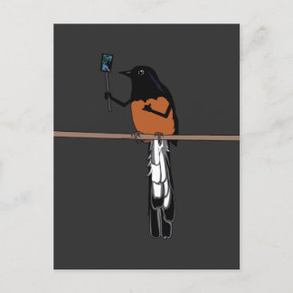 Hawaiian Shama Bird Selfie Vykort