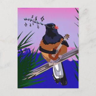 Hawaiian Shama Bird spelar ukulele Vykort