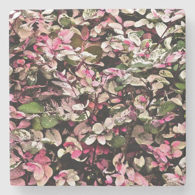 "HAWAIIAN SNOWBUSH" /PINKS, GRÖNTAR OCH WHITES UNDERLÄGG STEN (Framsidan)