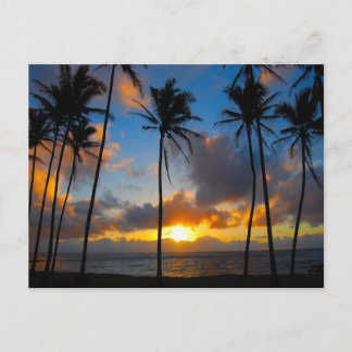 Hawaiian Sunrise Vykort