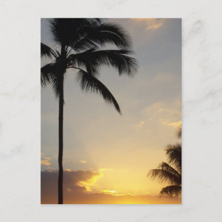 Hawaiian Sunrise Vykort