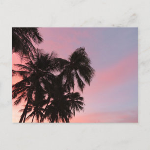Hawaiian Sunrise Vykort