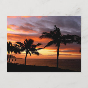 Hawaiian Sunset Postcard Vykort
